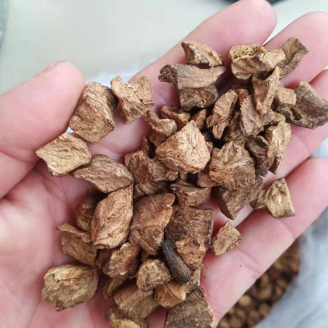 菊苣根 中药材菊苣根 玉兰根茶 苣菊根 干净苦苣根