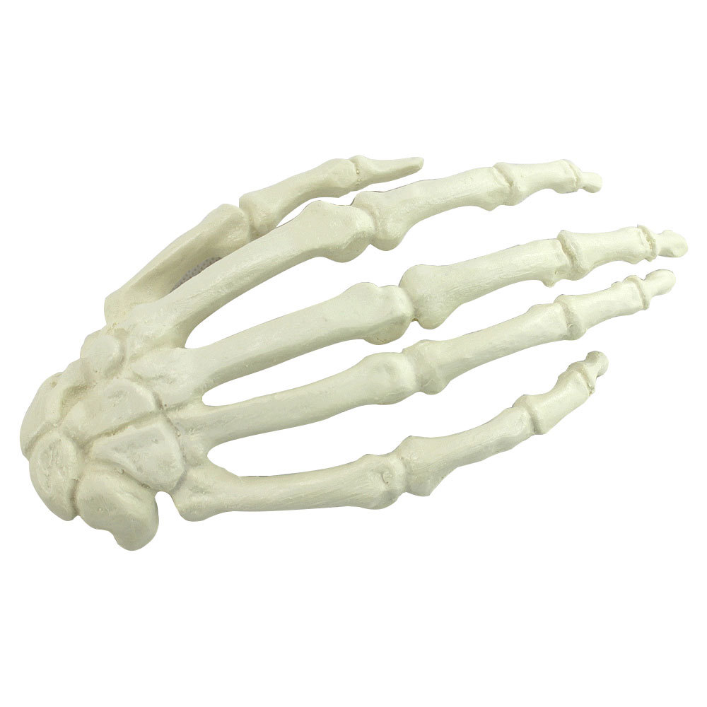 手骨指骨仿真骨模型 sawbone手骨人工皮质骨松质骨 指骨骨科植入