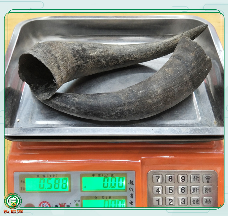 【满包邮】牛角小个子选货散装产地直供水牛角工艺品原材料沁信源