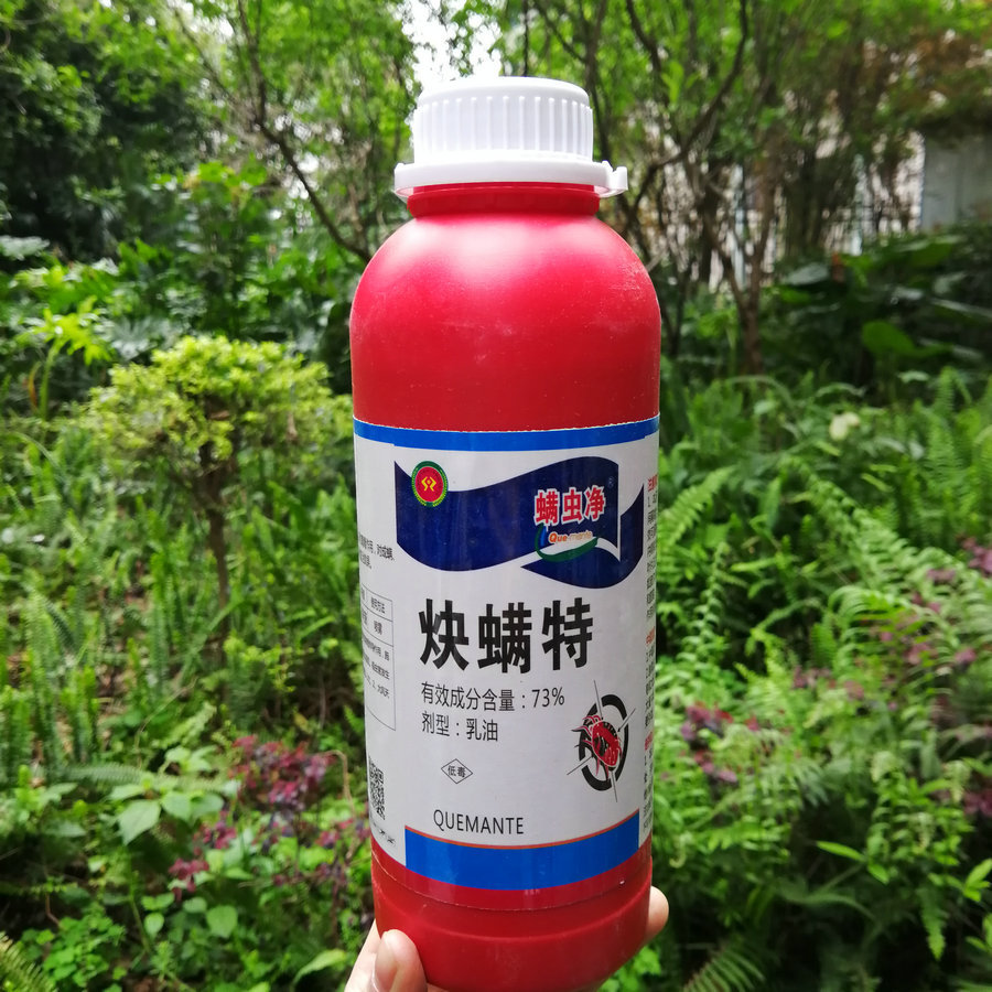 果树农药 杀虫剂杀螨剂 柑橘红蜘蛛叶螨锈螨专用 73%炔螨特砂糖橘