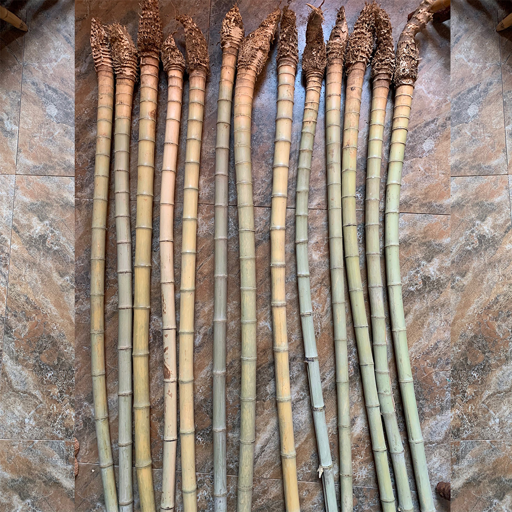 厂家直供小竹根原料竹根竹鞭竹头材料手把件渔具原材料根雕拐杖料