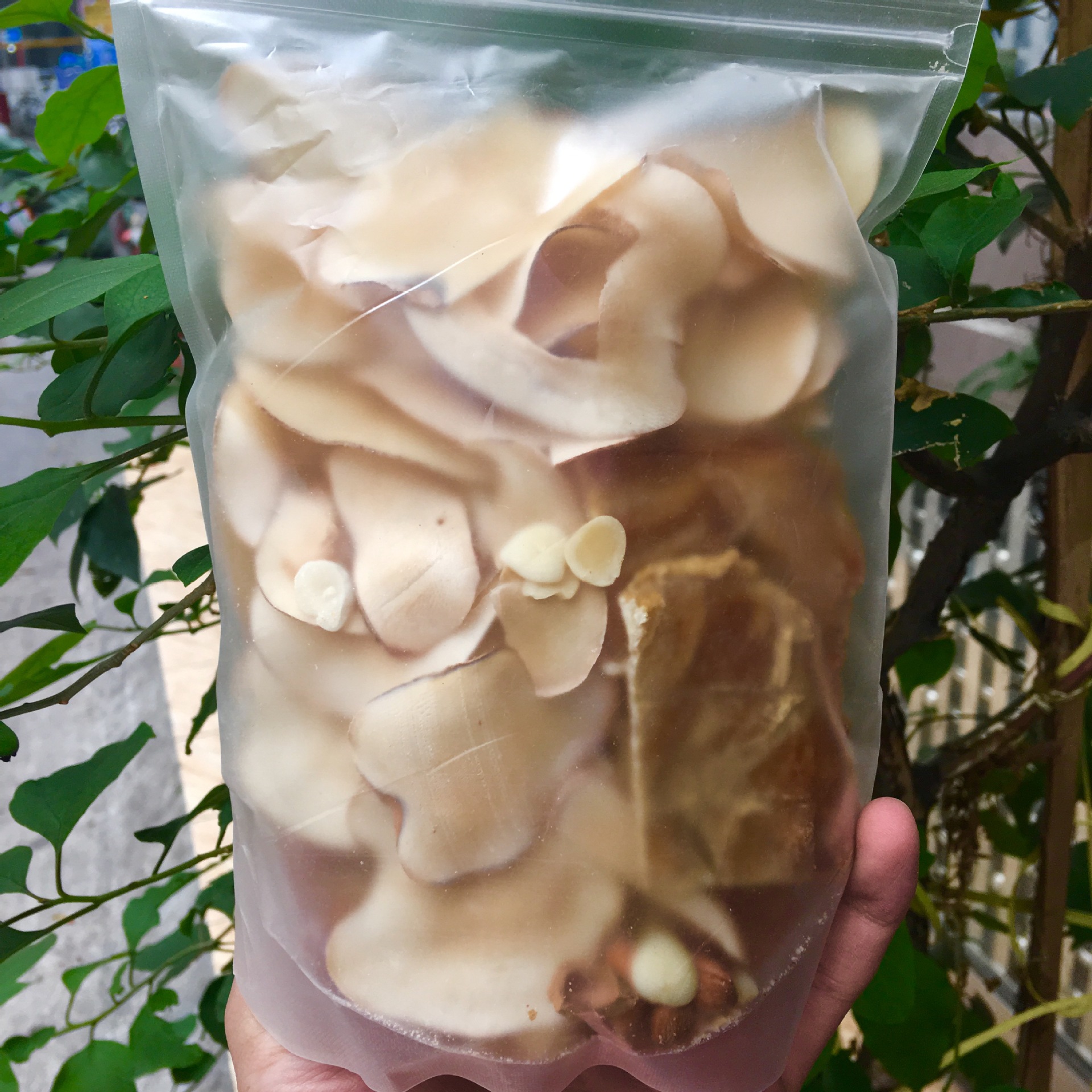 批发广东煲汤材料鳄鱼肉汤包 健康绿色材料海底椰养生汤包配方料