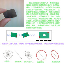 厂家供货物理光学教学仪器实验器材 偏振片圆偏 线偏