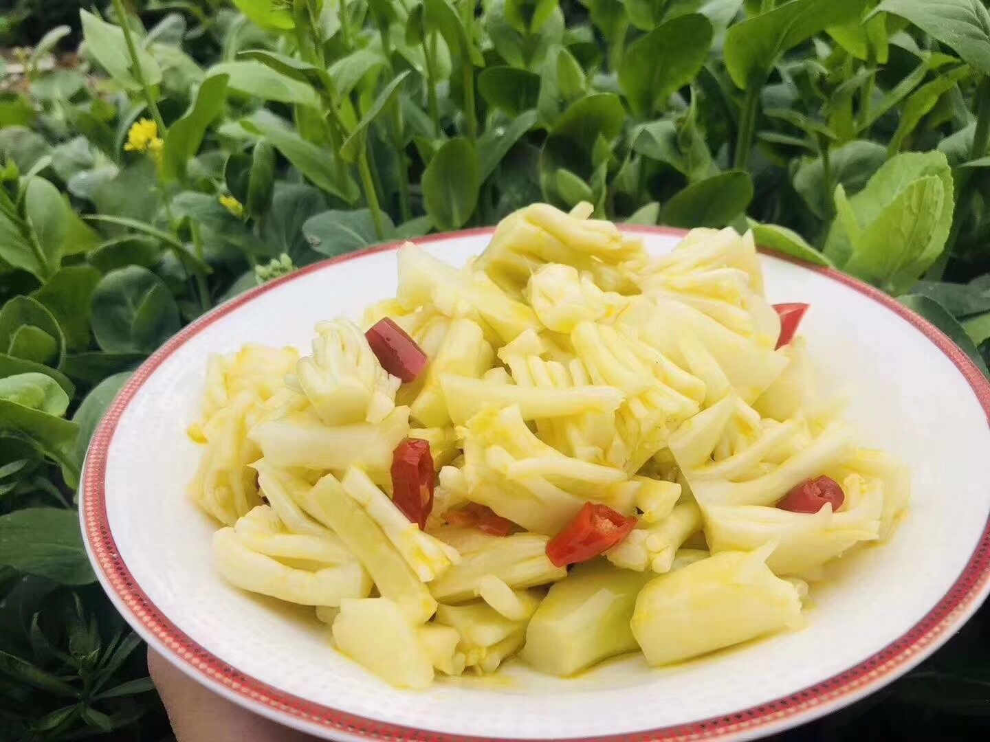 菜花梗 饭前必点开胃菜可以下饭 清脆可口 250克半斤装一件代发