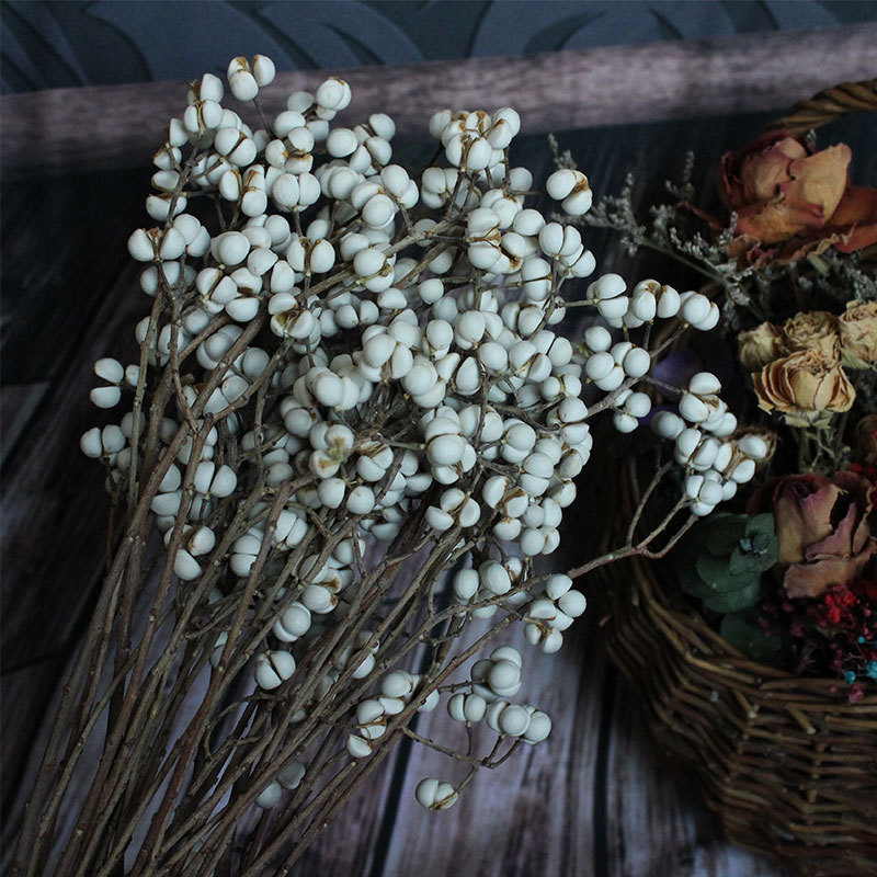 【小白果/尤加利果】森系自然干花真花小白豆diy家居装饰尤加利果
