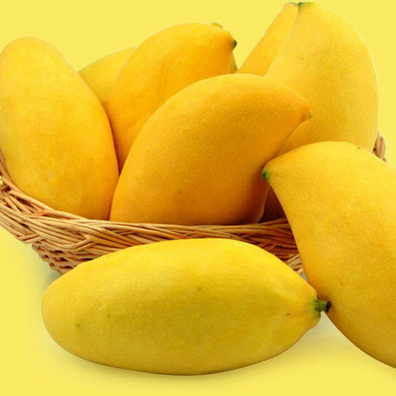 钜惠秒杀 缅甸鹰嘴芒 芒果新鲜热带水果应季水果包邮一件代发批发