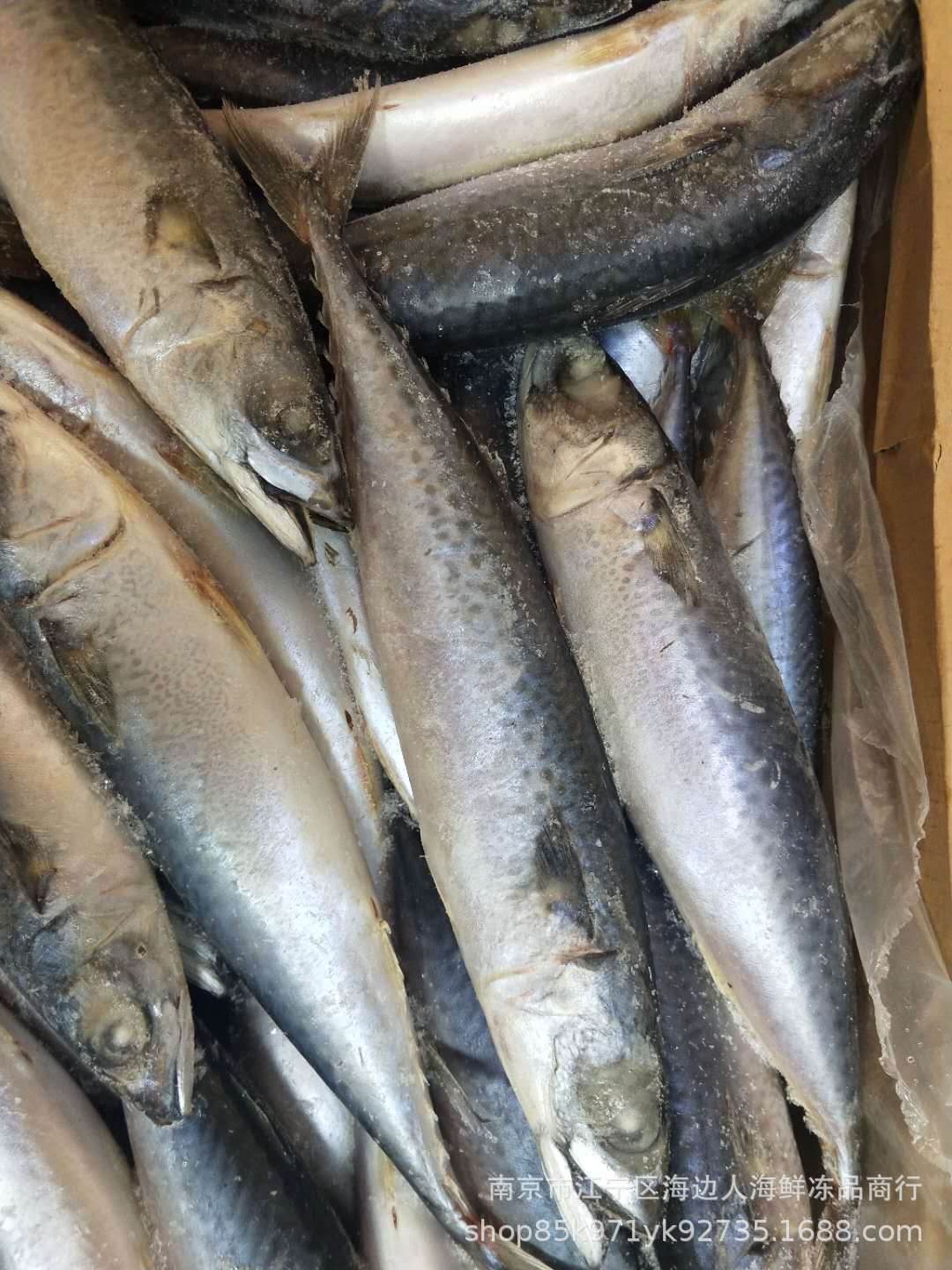 青条鱼又叫台巴鱼丶小青鱼丶量大从优商品描述用途食用储存条件冷冻