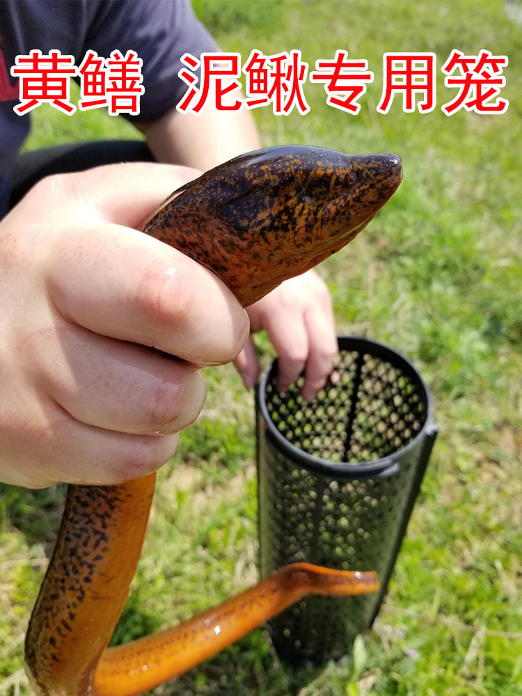 黄鳝笼倒须塑料捕捉器抓黄鳝专用笼子工具神器鳝鱼笼诱饵黄善泥鳅