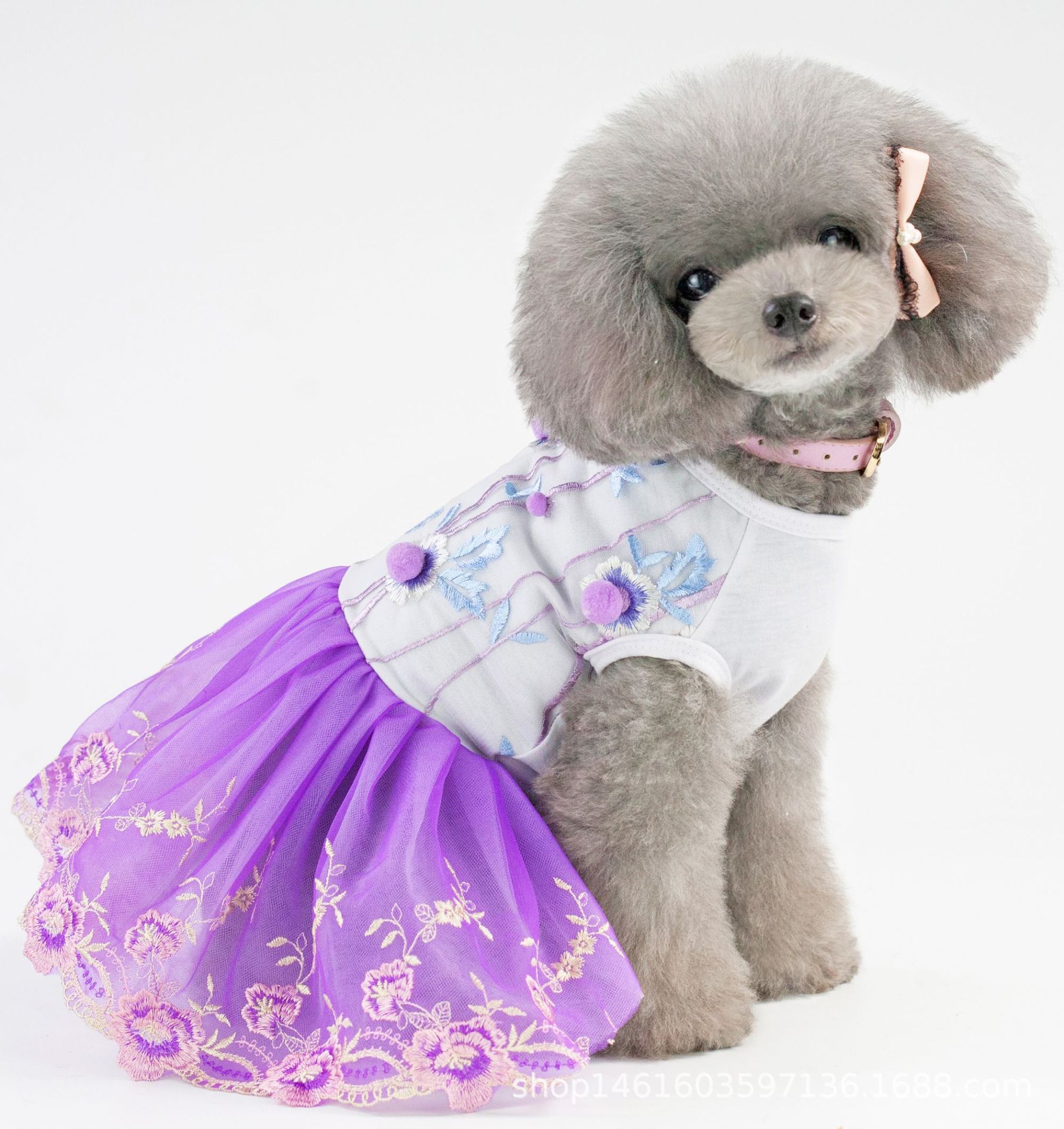宠物衣服 狗裙子2019 新款连衣裙 狗衣服 泰迪服装春夏清凉蕾丝裙