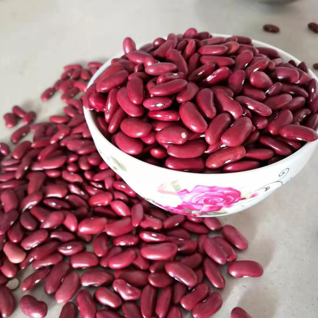 现货批发新大粒红芸豆 英国红红豆红腰豆 五谷杂粮粗粮红芸豆