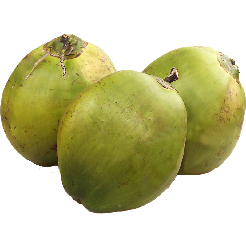 包邮产地直发海南特产东郊椰子网袋装 带青皮 椰子孕妇新鲜水果