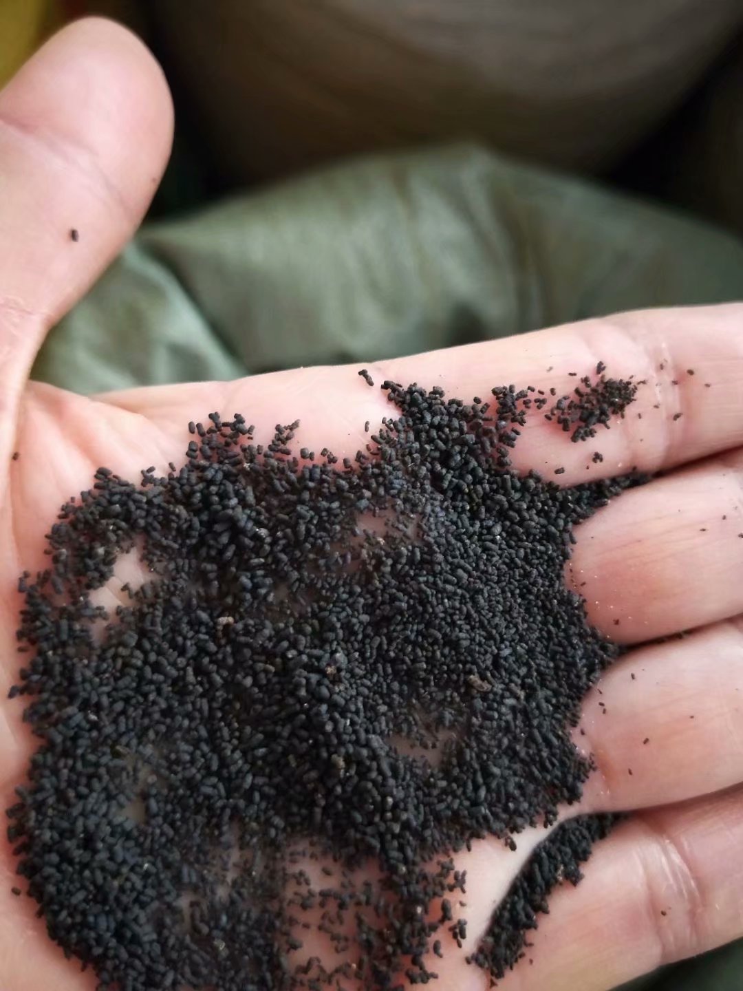 虫茶 虫屎茶 陈年虫屎茶