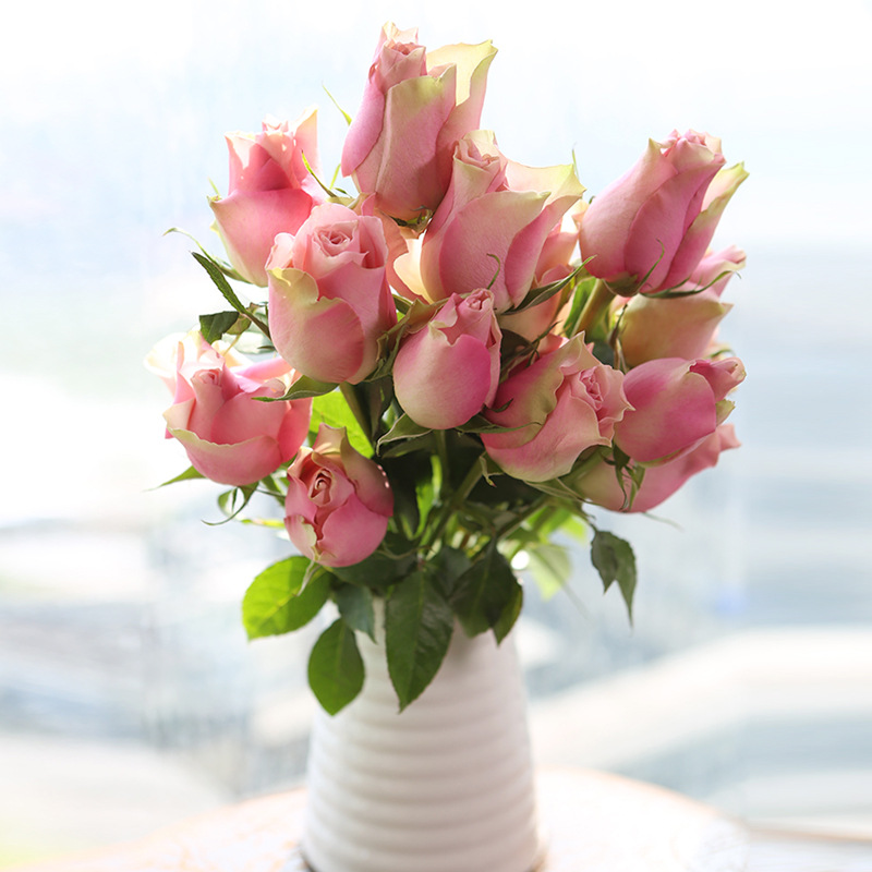 云南昆明鲜花基地直批 迷恋玫瑰 月季花 婚庆花店活动用花