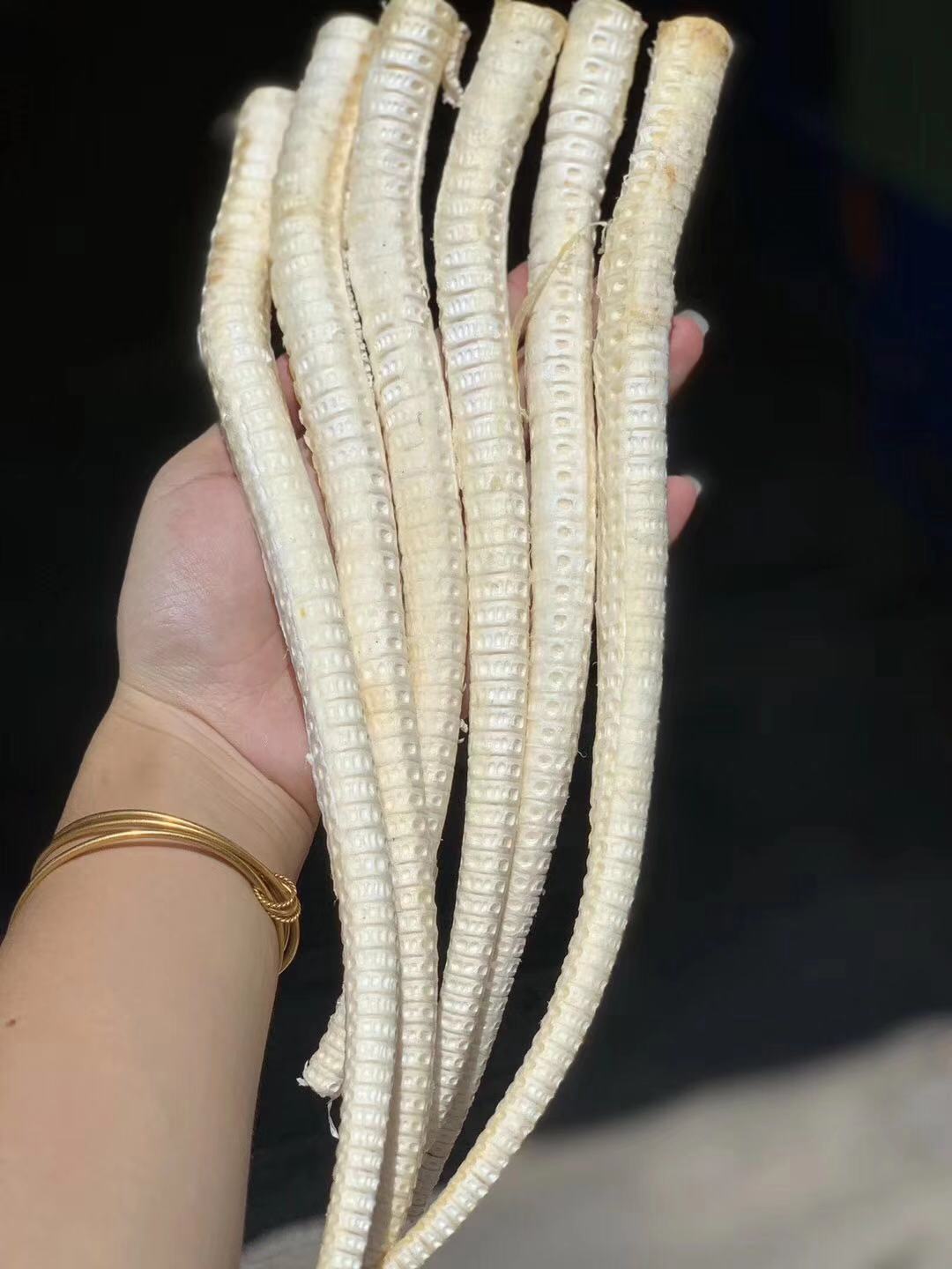 鲨鱼骨 龙骨干 鱼骨 煲汤佳品原骨 海鱼骨脊椎骨海味干货批发500g