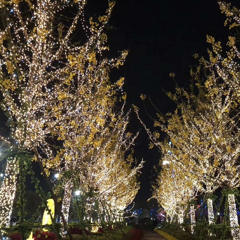 led彩灯公母接可串联串灯绕树灯满天星灯串节日装饰户外星星灯