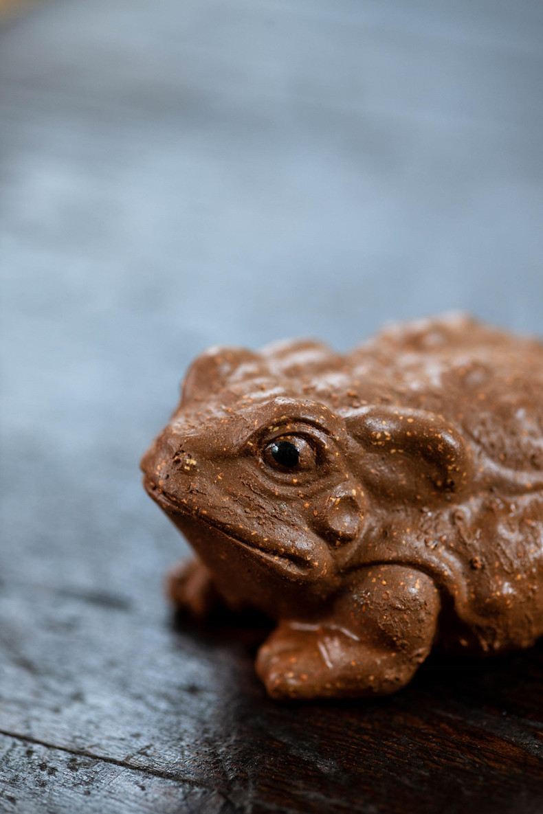 降坡泥青蛙金蟾1029