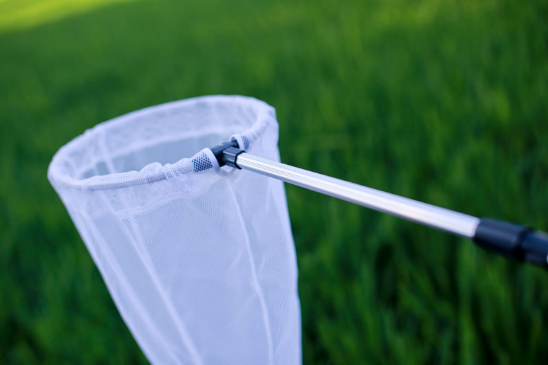 铝合金超短捕虫网 蝴蝶蜻蜓昆虫网兜伸缩捞鱼网小鱼兜蝌蚪两用