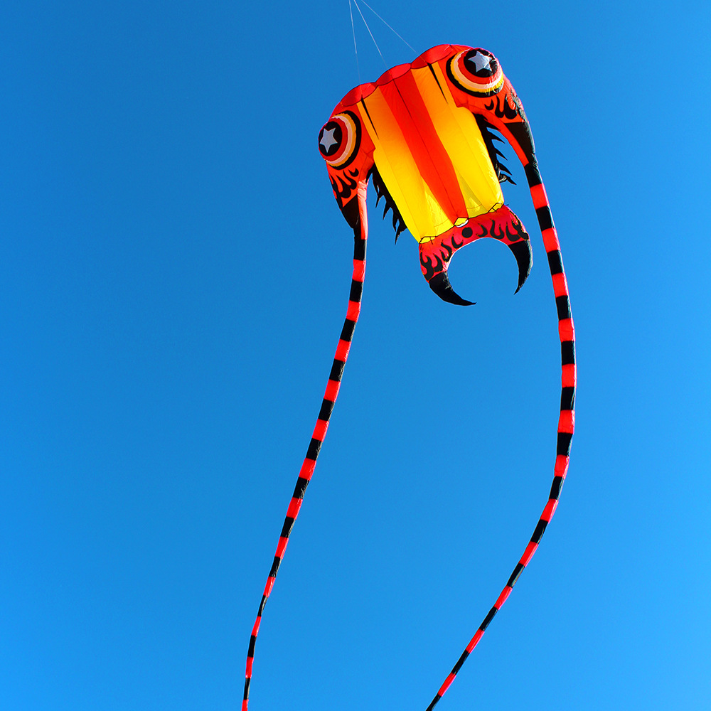 领航风筝新奇特征风三叶虫充气风筝跨境电商速卖通立体风筝