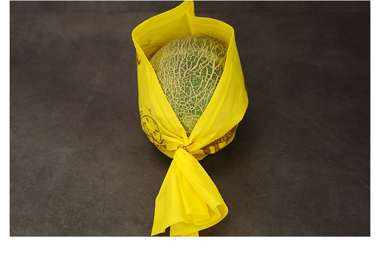 哈密瓜套袋无纺布袋葡萄甜瓜包装袋水果包装套袋芒果水果衬托袋厚