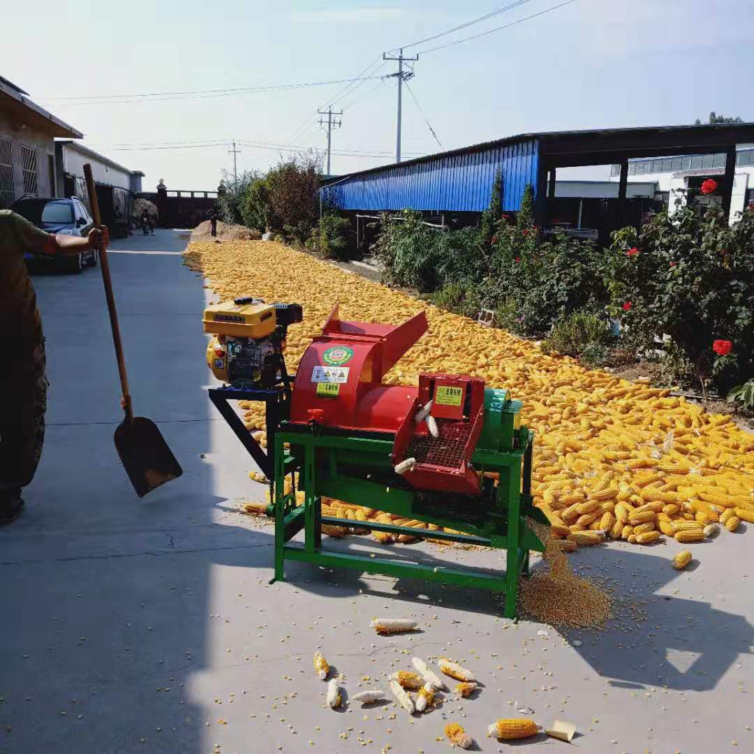 多功能全自动谷子脱粒机 高粱打穗脱粒机 新技术黄豆打粒机