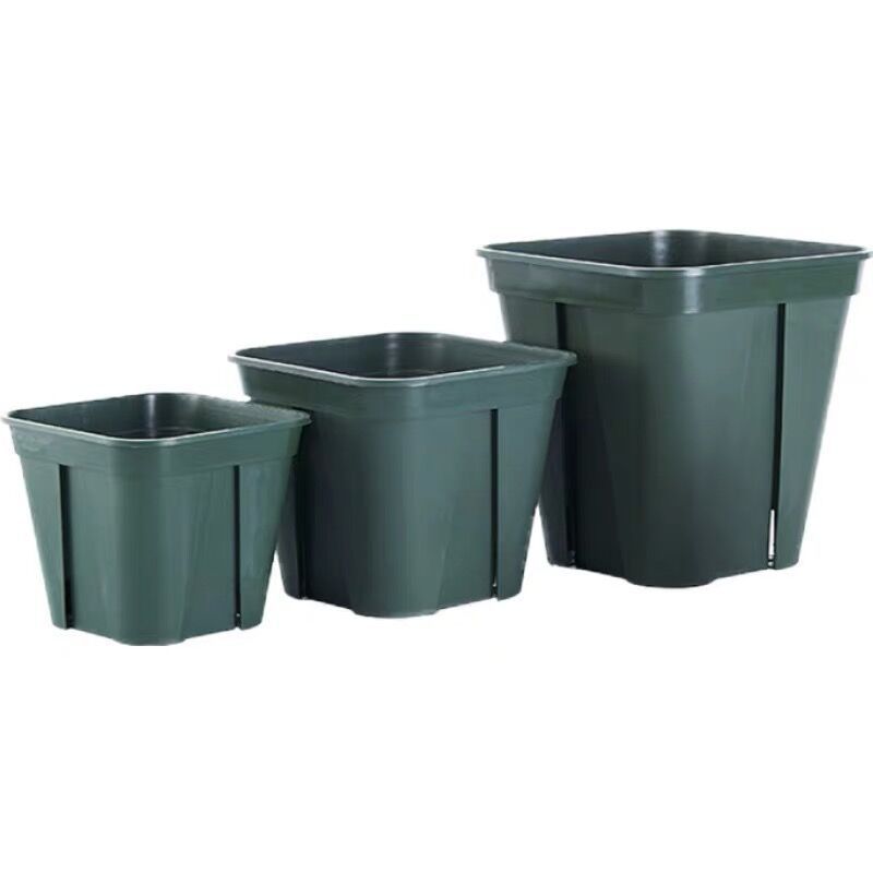 青控根国产塑料花盆方形加仑盆山日本加厚耐用月季金线莲厂家直销