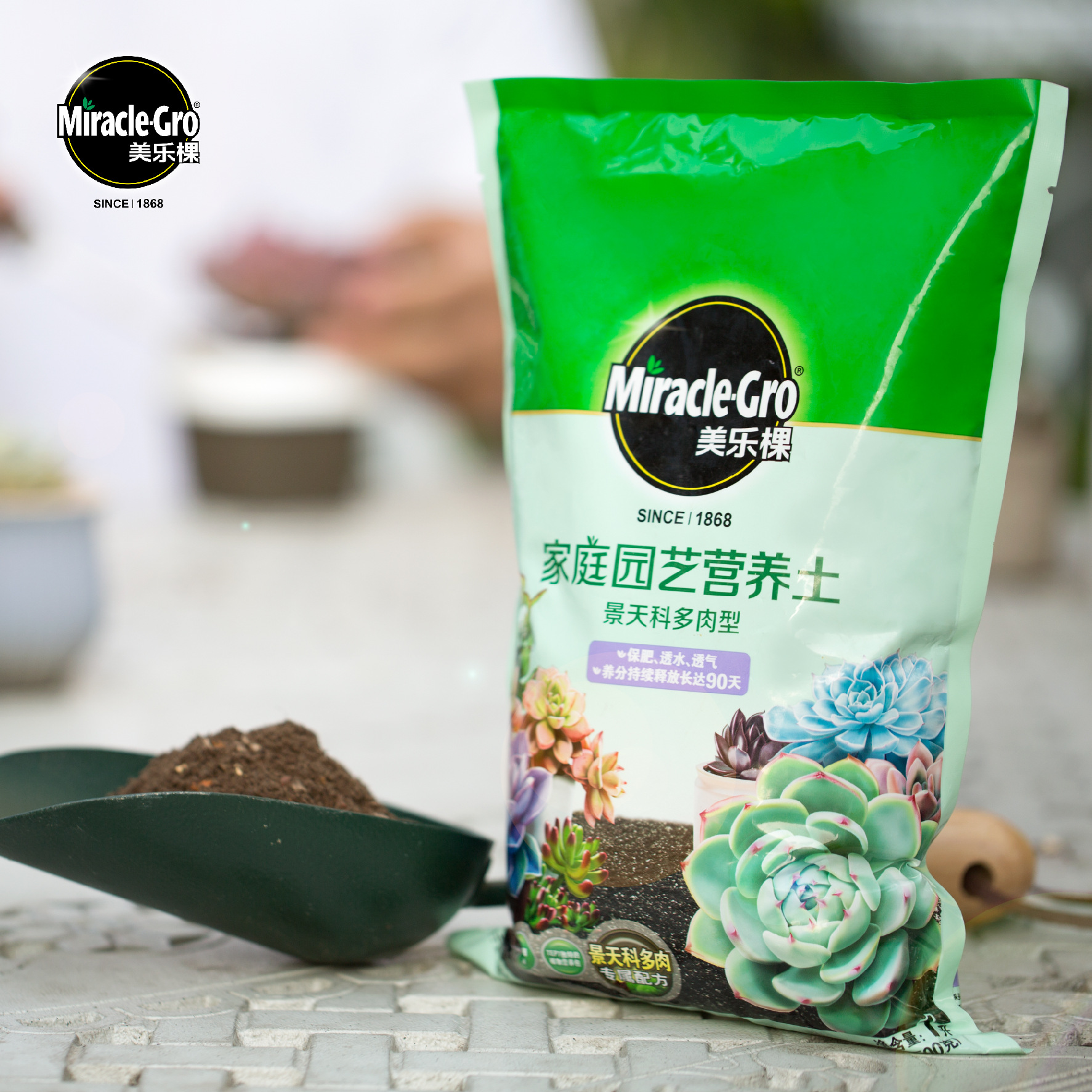 煜伶 美乐棵景天科多肉型1l景天科多肉营养土种植土泥炭土颗粒土