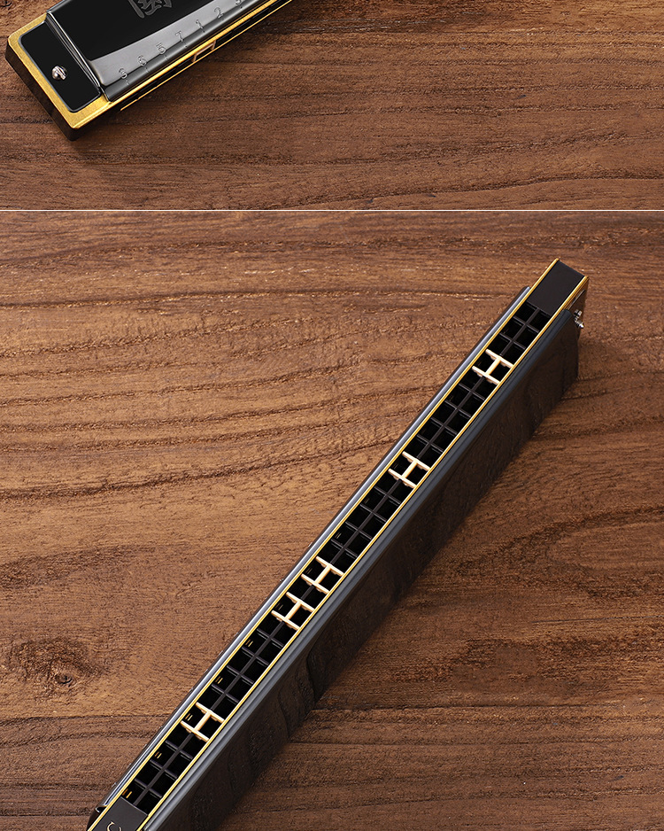 国光口琴重音28孔男女初学者学生成人儿童入门复音c调专业演奏级