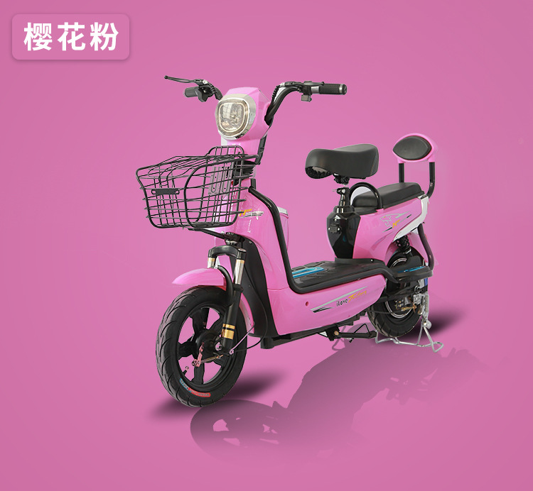 京京高配骏马电动车成人两轮电瓶车双人电动自行车新款48v厂家