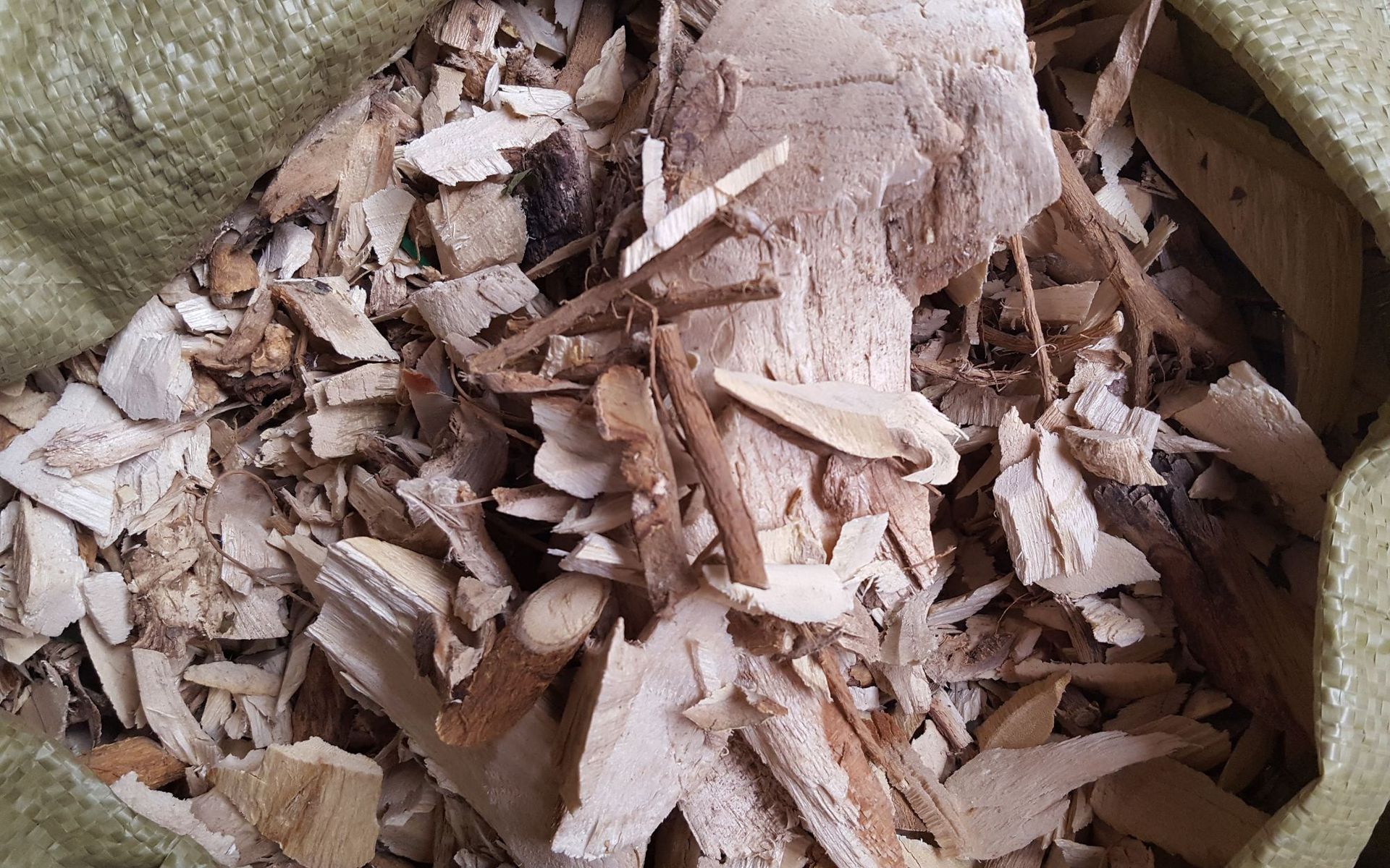 中药材 楮树根 谷树子根 谷木蔃 楮树 构树 构桃树 楮树叶 楮桃叶