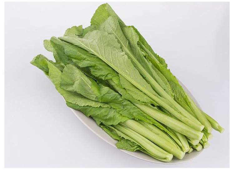 春菜种子芥菜绿色青菜四季小白菜吃蔬菜耐寒耐热秋季阳台盆栽蔬菜