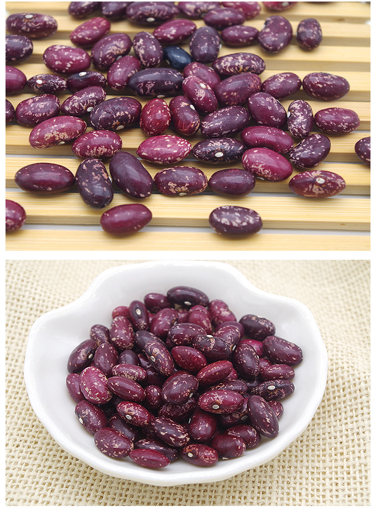 云南地方特产金丝豆雀蛋豆 红花豆 粉糯可口500g五谷杂粮厂家直销