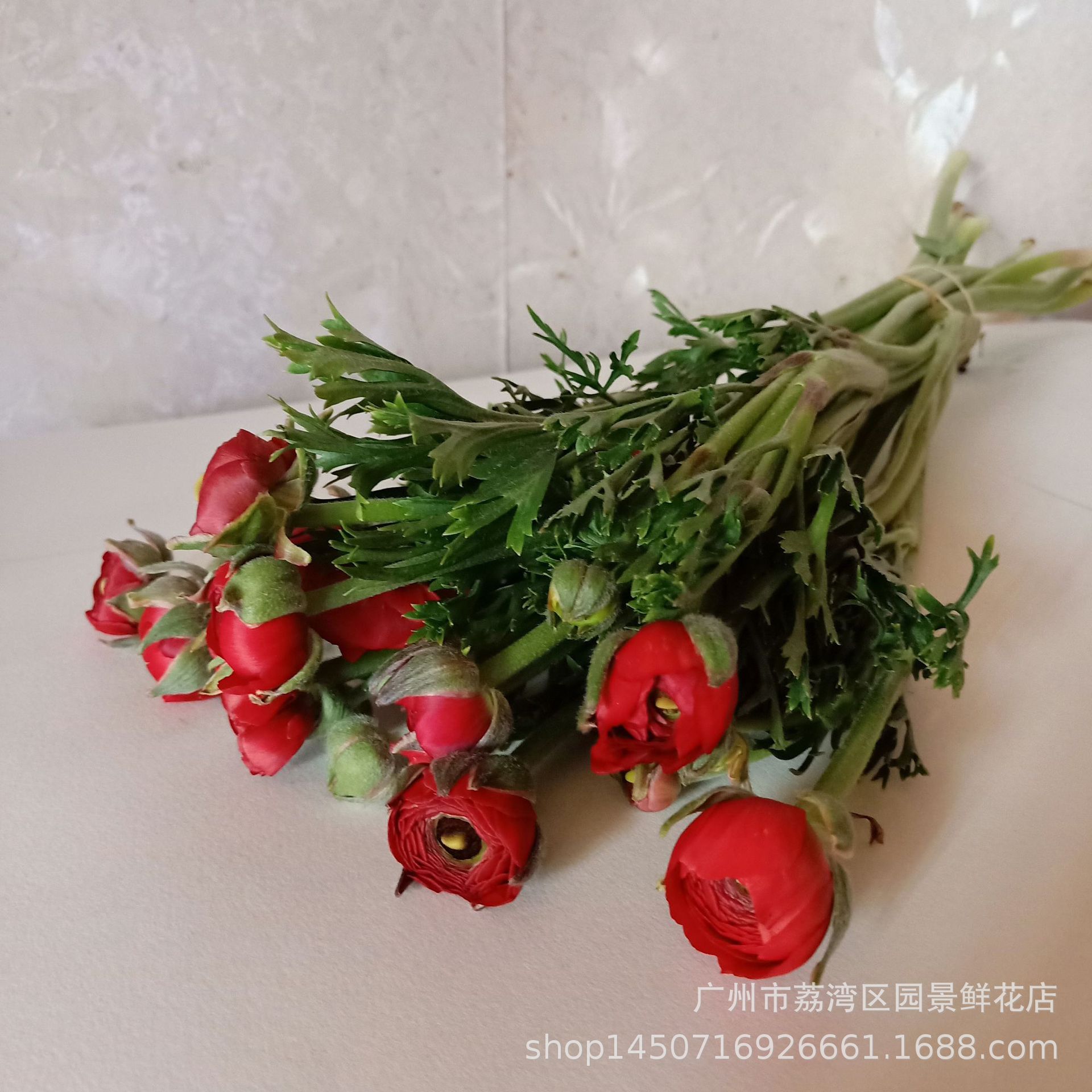 新品 水养插瓶 各色洋牡丹 花毛莨批发 花束配花 应季鲜花-阿里巴巴