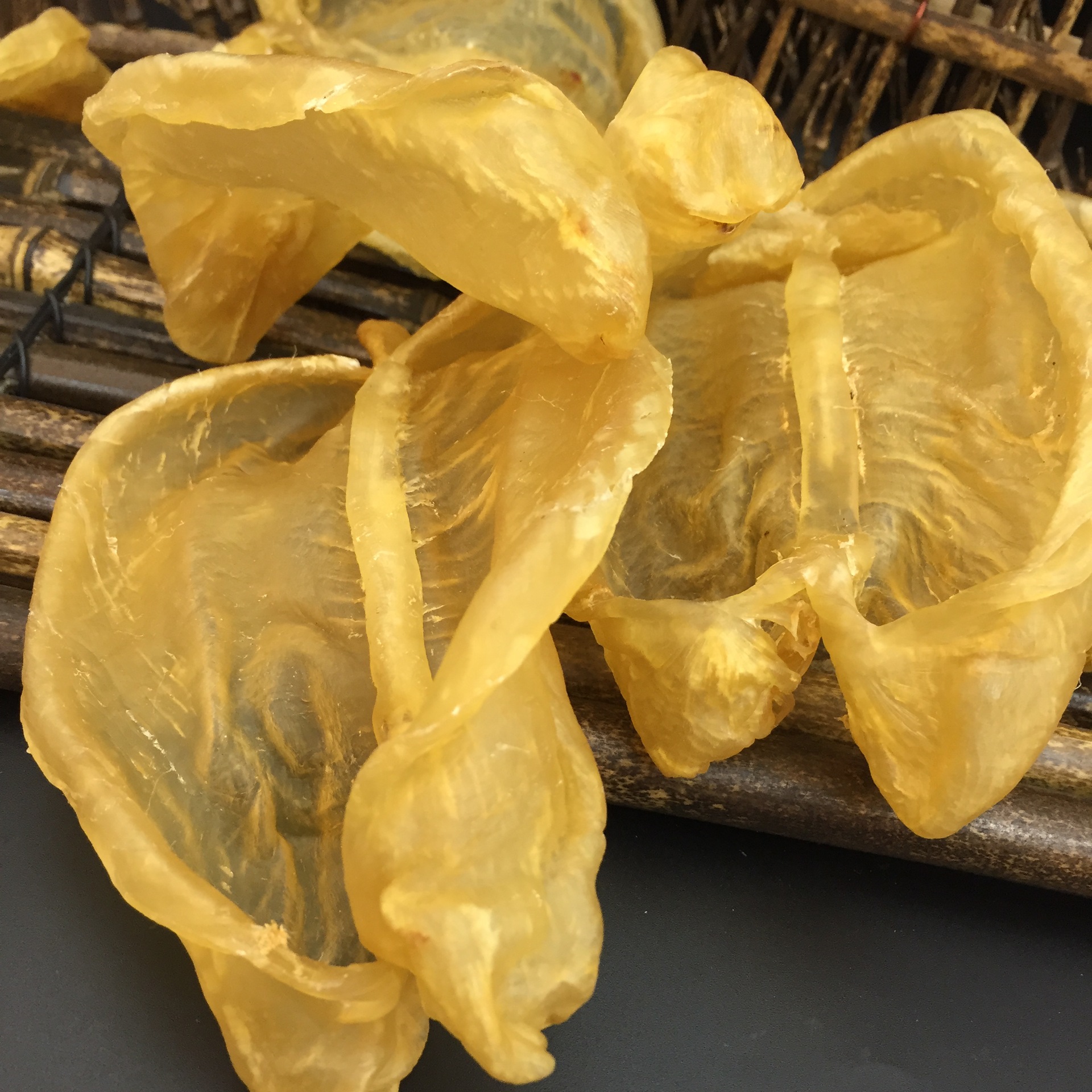 批发渠道深海黄花胶片 花胶鸭泡肚鱼胶鱼肚鱼漂干贷500g