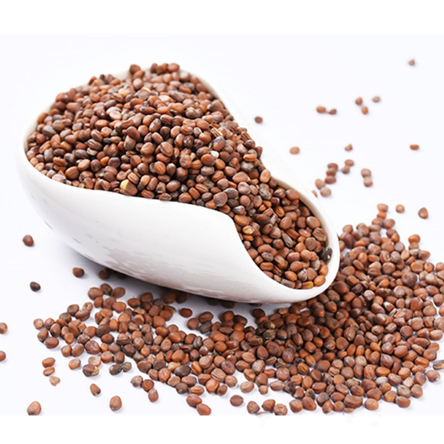 中药材 莱菔子 炒莱菔子 萝卜籽 白萝卜紫 莱菔籽 萝白子