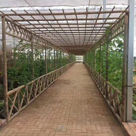 安吉厂家 毛竹子竹条建筑温室大棚菜架长竹竿农业搭架竹杆3米批发