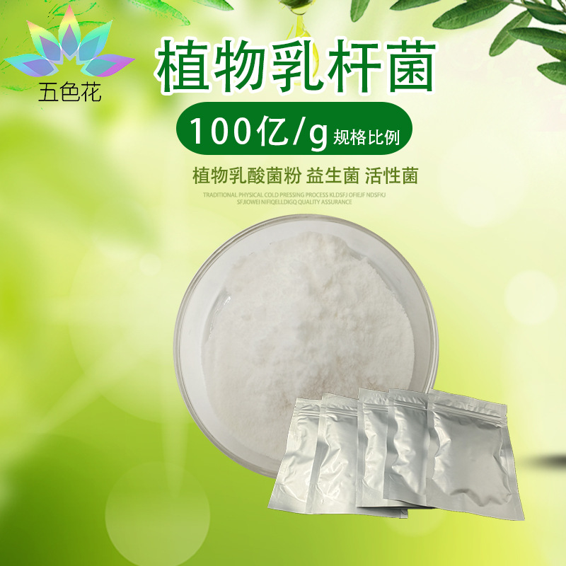 植物乳杆菌100亿cfu/g 植物乳酸菌 益生菌冻干粉 活性菌 现货包邮