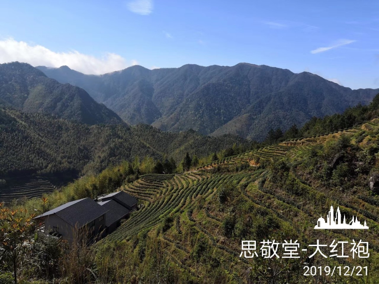 大红袍/金牡丹武夷岩茶高香型原味大红袍传统工艺原生态厂家直销