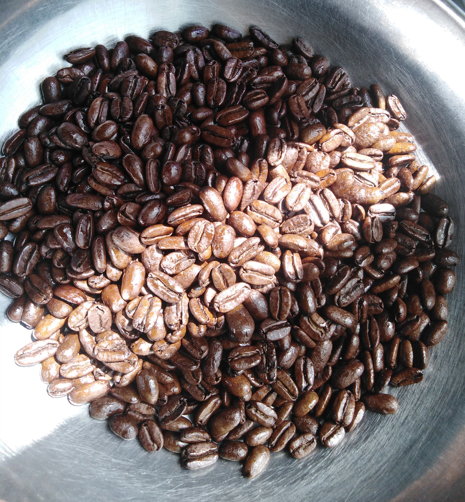 17载柏顿品牌鲜烘印尼苏门答腊托巴湖黄金曼特宁19目精品咖啡豆