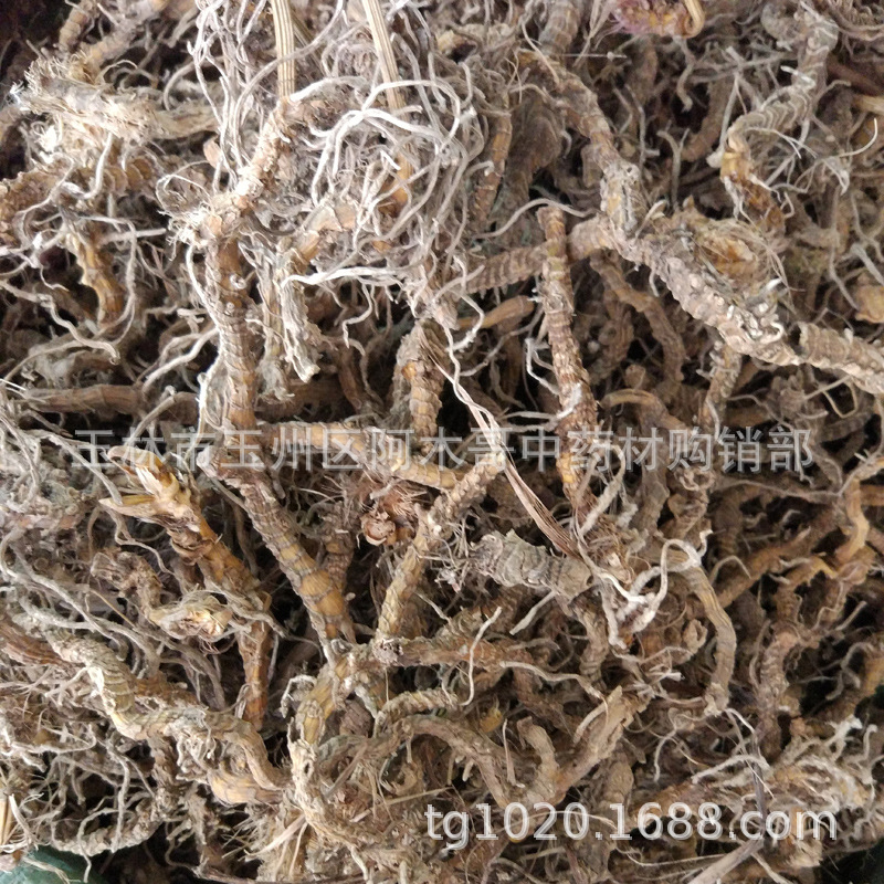 入地蜈蚣中药材中草药蜈蚣草水蜈蚣倒地蜈蚣干货