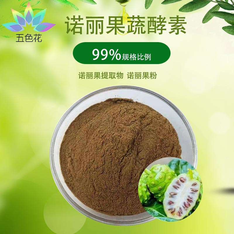 诺丽果酵素粉99% 诺丽果粉 诺丽果提取物 诺丽果发酵 厂家现货