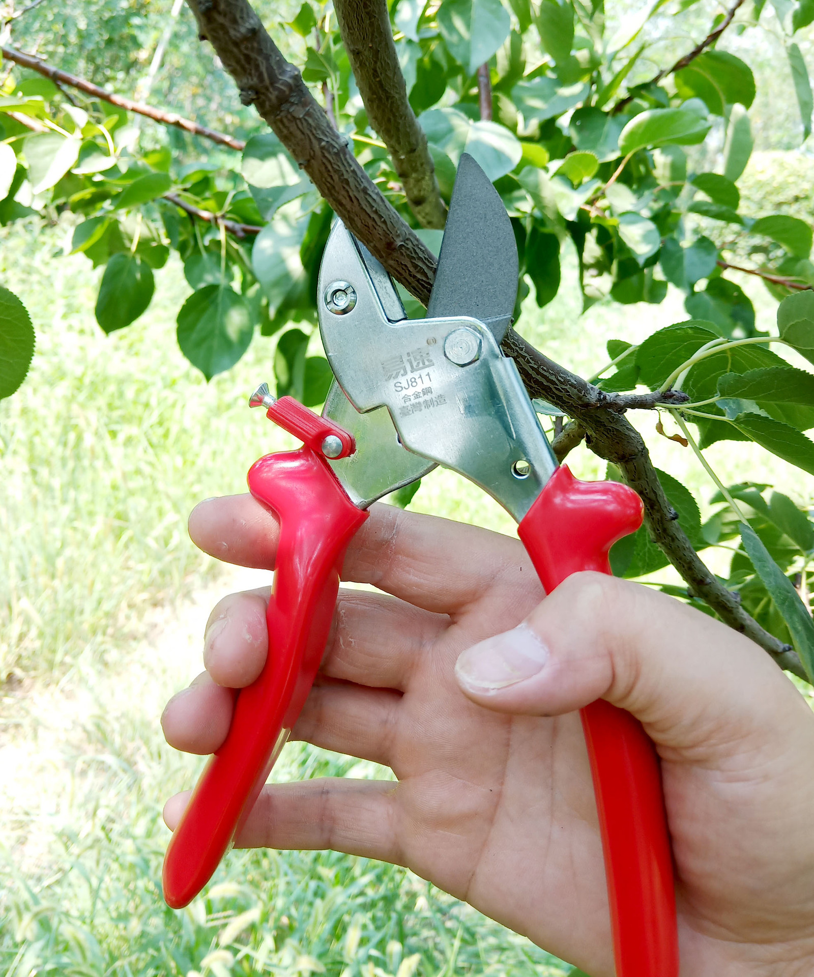 易速sj811修枝剪 果树剪刀 省力修枝剪 剪葡萄枝剪子花枝园艺剪刀