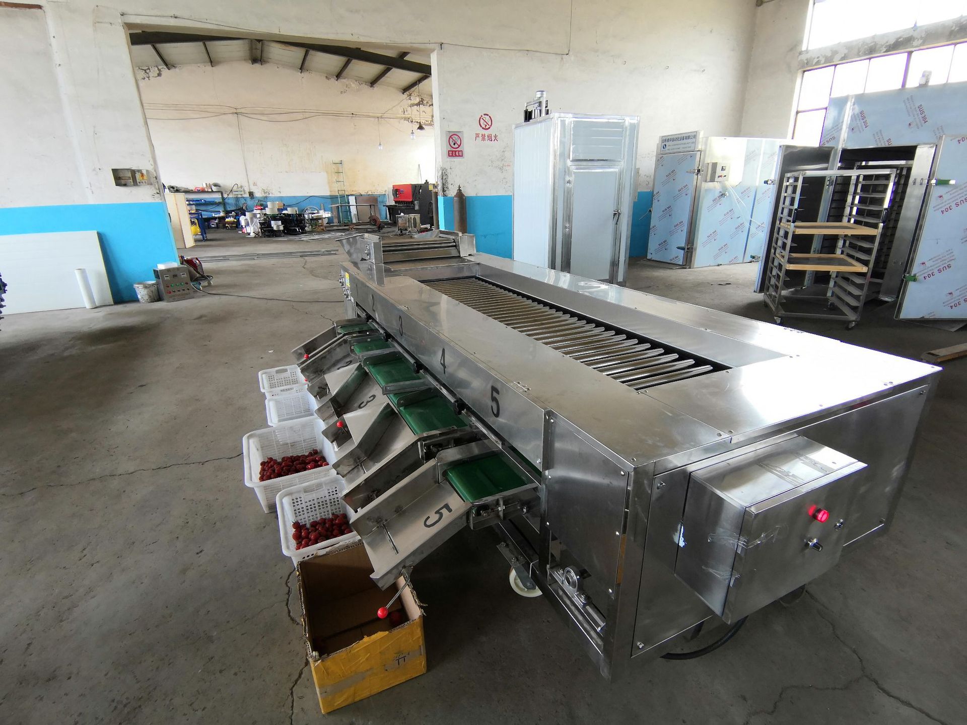 食环食堂果蔬水果分选机大小分级机果蔬水果分拣选果机