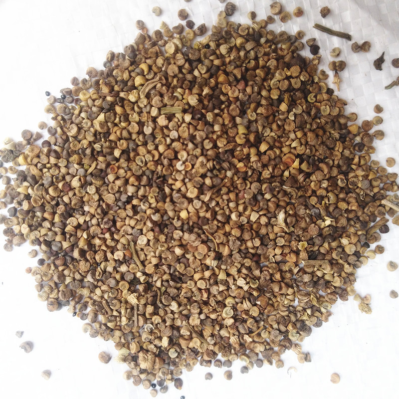 批发中药材冬葵果 冬葵子 冬葵籽实物拍照不美化欢迎进店咨询采购