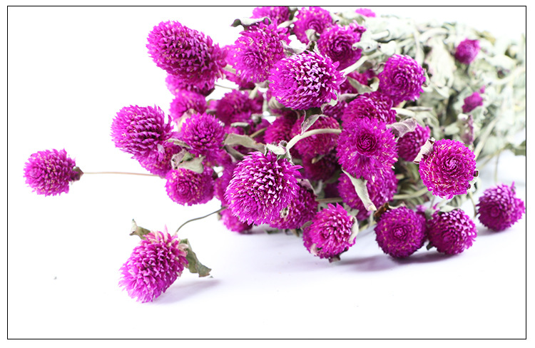 千日红干花花饰 花束自然风干装饰 花束道具小礼品赠品千日红