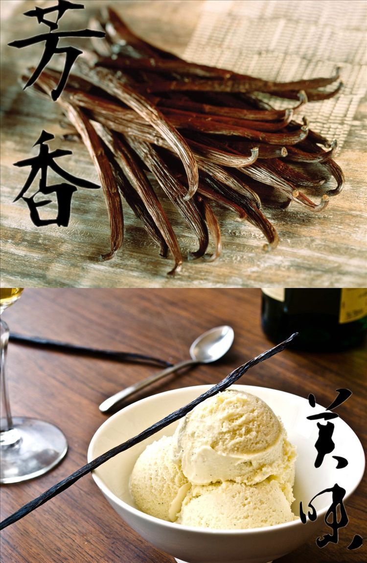 马达加斯加香荚兰豆 产地直销香荚兰豆 优质烘焙原料 香荚兰豆