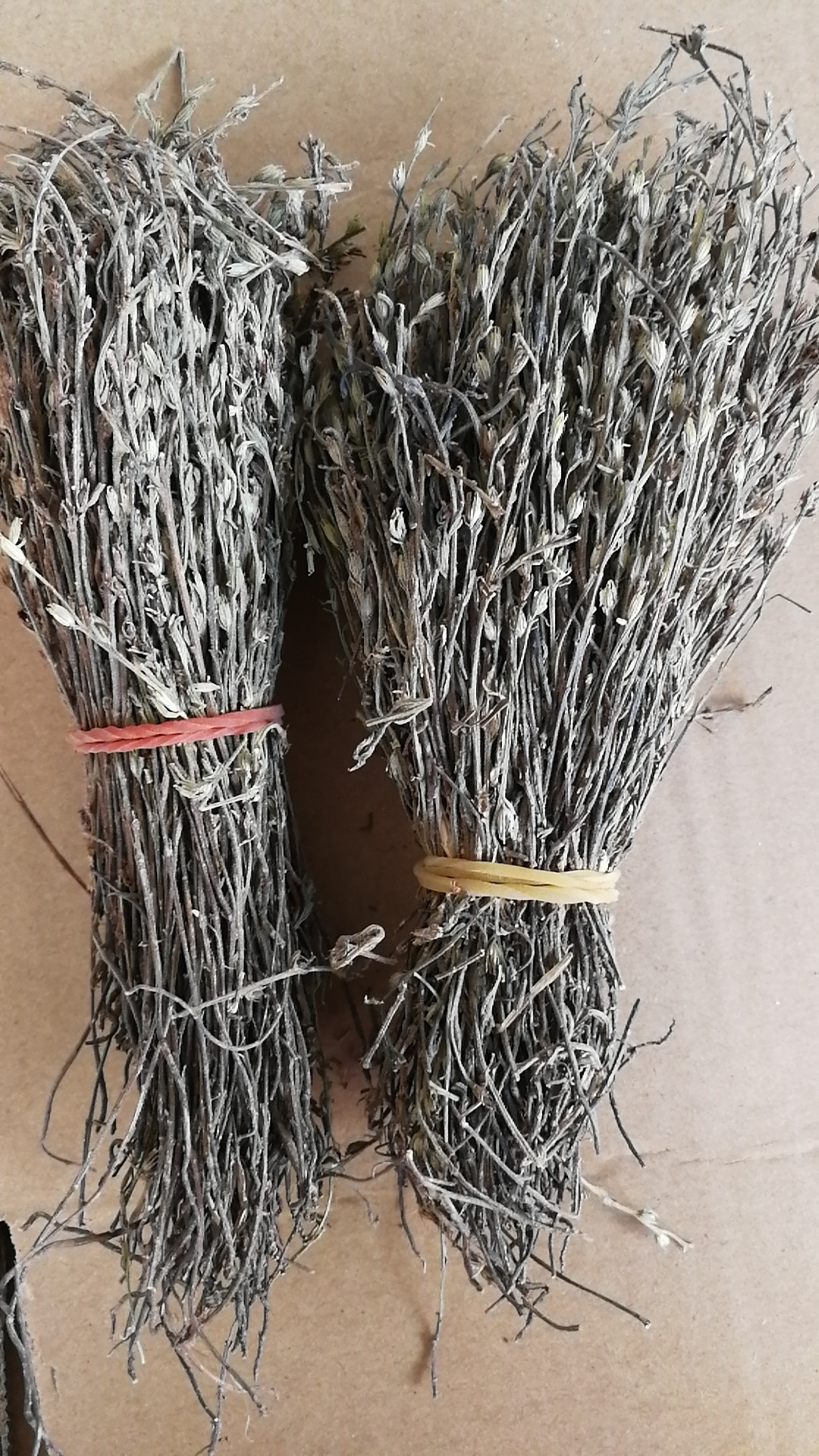 独脚金独脚疳独脚金别名黄花草消米虫疳积草中药材批发