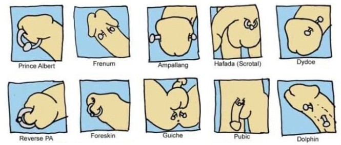 穿刺饰品男女性阴环4mm短杆系带钉系带环 pa环钛钢乳环乳钉