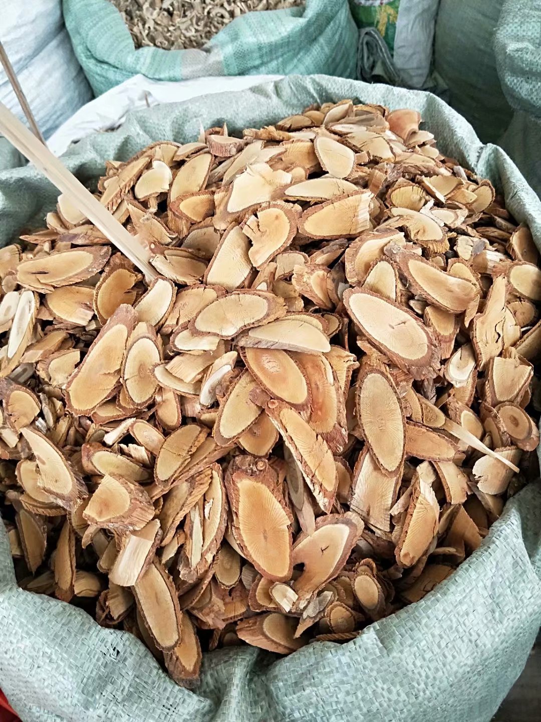 中药材去湿王钻地风利筋藤