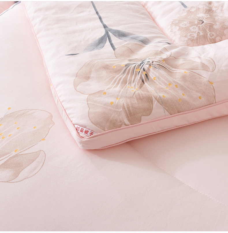 北极棉羽丝绒棉被秋冬学生宿舍冬被被芯厂家供应空调保暖礼品被子