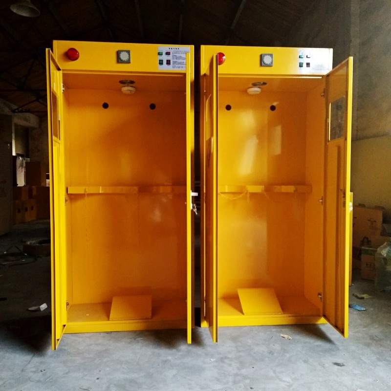 全钢双瓶乙炔智能高压气瓶柜储存柜实验室防爆气瓶柜钢瓶柜厂家-阿里